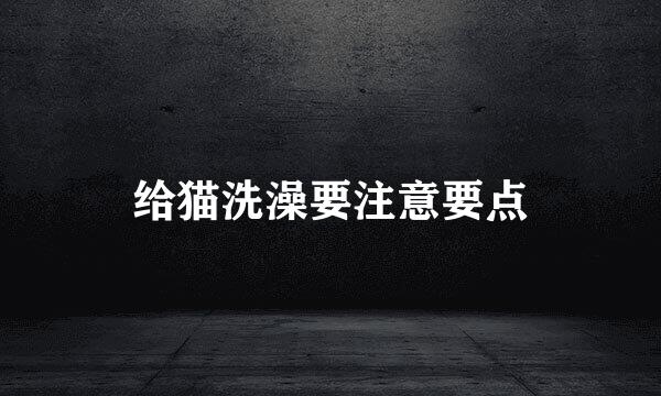 给猫洗澡要注意要点