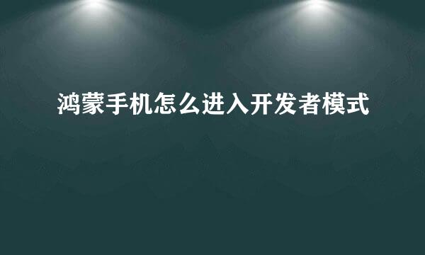 鸿蒙手机怎么进入开发者模式