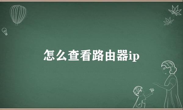 怎么查看路由器ip