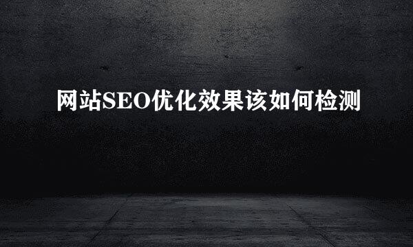 网站SEO优化效果该如何检测