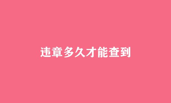 违章多久才能查到