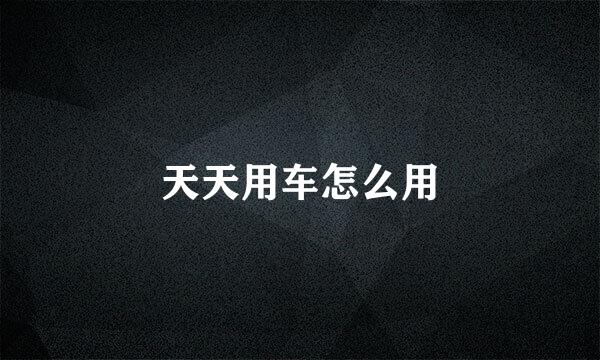 天天用车怎么用