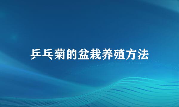 乒乓菊的盆栽养殖方法