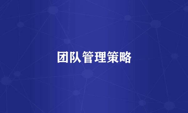 团队管理策略