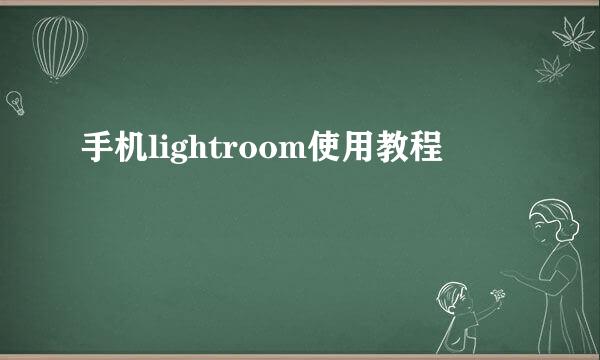 手机lightroom使用教程