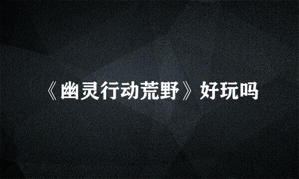 《幽灵行动荒野》好玩吗