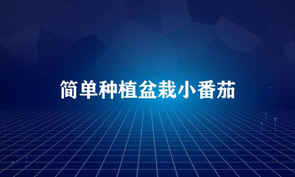简单种植盆栽小番茄