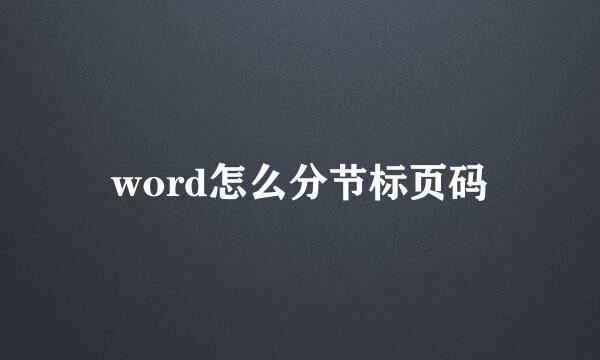 word怎么分节标页码