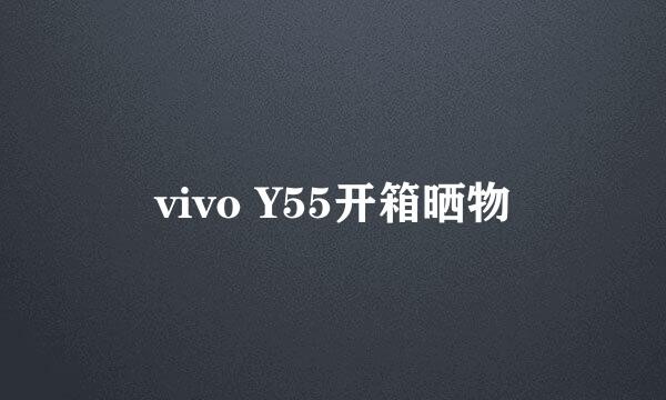 vivo Y55开箱晒物