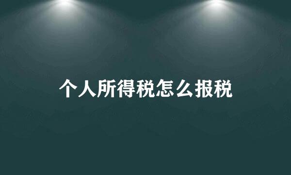 个人所得税怎么报税