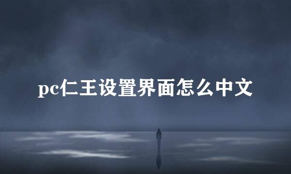 pc仁王设置界面怎么中文