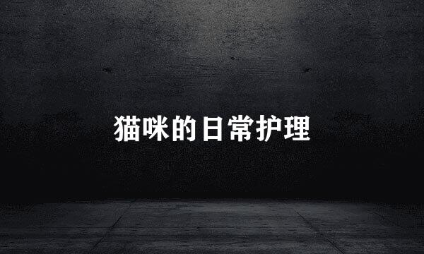 猫咪的日常护理