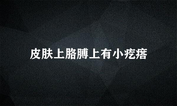 皮肤上胳膊上有小疙瘩