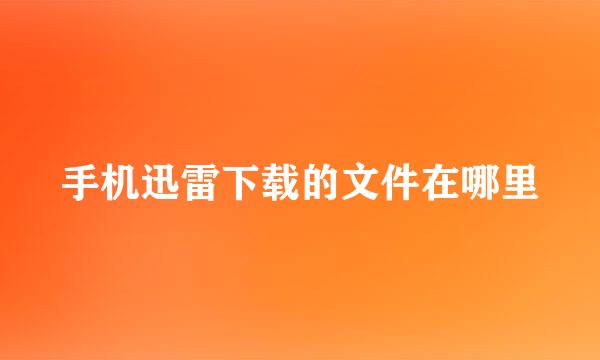 手机迅雷下载的文件在哪里