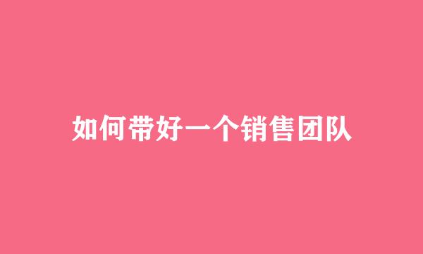 如何带好一个销售团队
