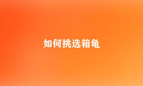 如何挑选箱龟