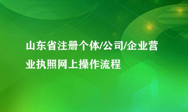 山东省注册个体/公司/企业营业执照网上操作流程