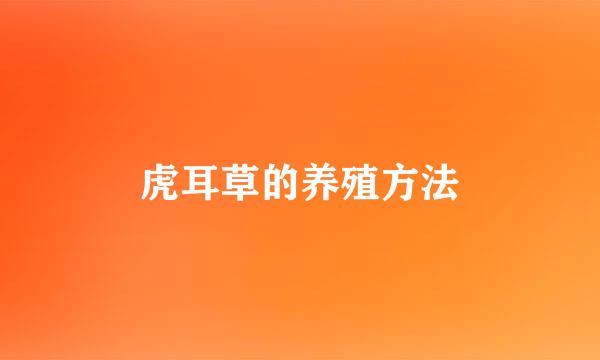 虎耳草的养殖方法
