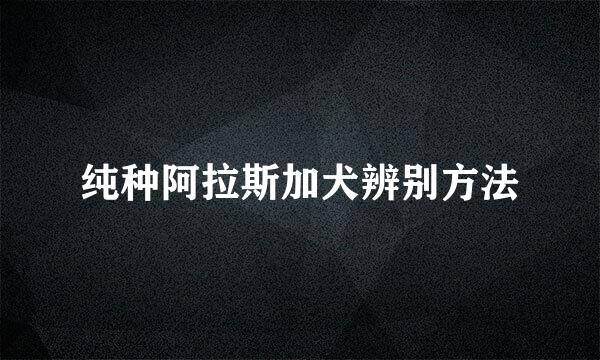 纯种阿拉斯加犬辨别方法