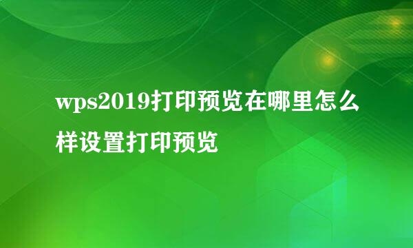 wps2019打印预览在哪里怎么样设置打印预览