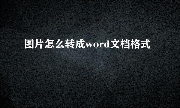 图片怎么转成word文档格式
