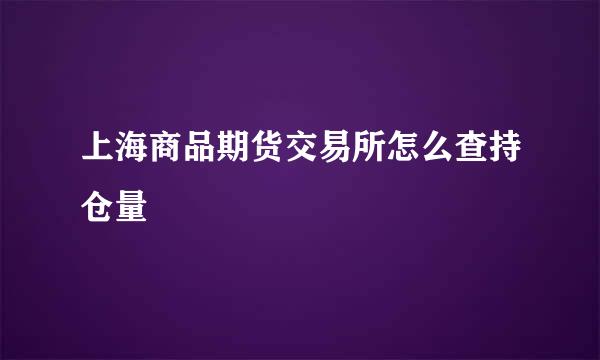 上海商品期货交易所怎么查持仓量