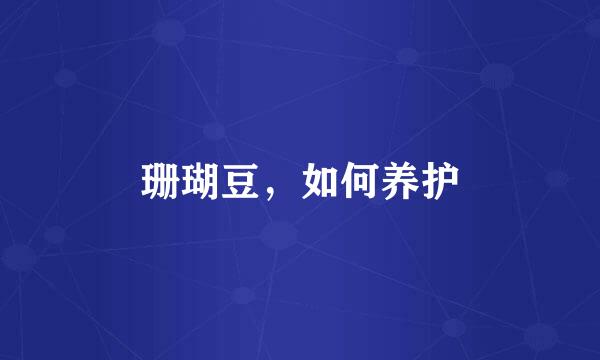 珊瑚豆，如何养护