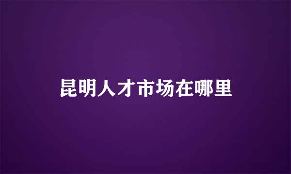 昆明人才市场在哪里