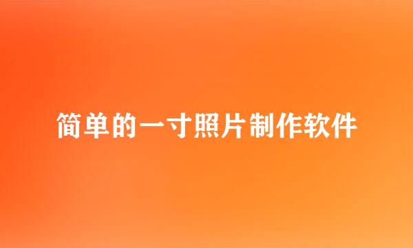 简单的一寸照片制作软件