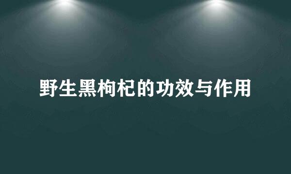 野生黑枸杞的功效与作用