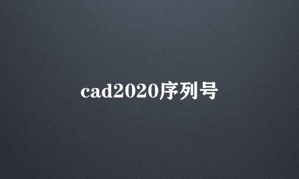 cad2020序列号