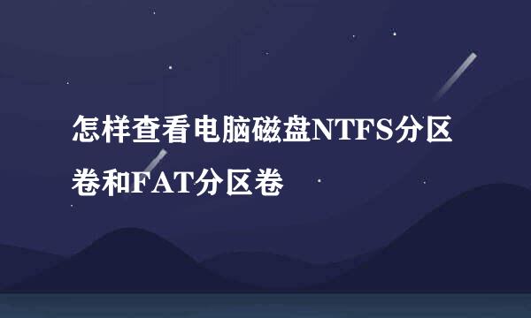 怎样查看电脑磁盘NTFS分区卷和FAT分区卷