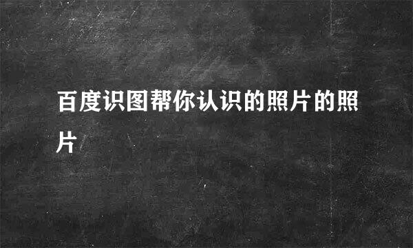 百度识图帮你认识的照片的照片