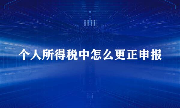个人所得税中怎么更正申报