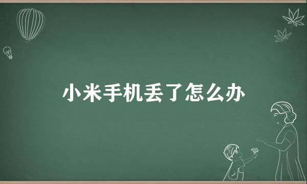小米手机丢了怎么办