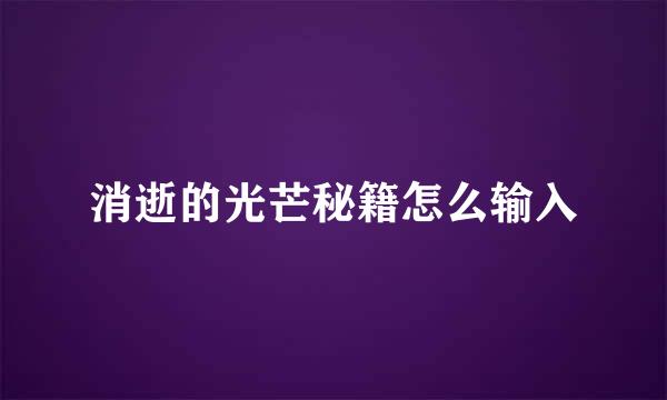 消逝的光芒秘籍怎么输入