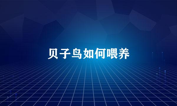 贝子鸟如何喂养