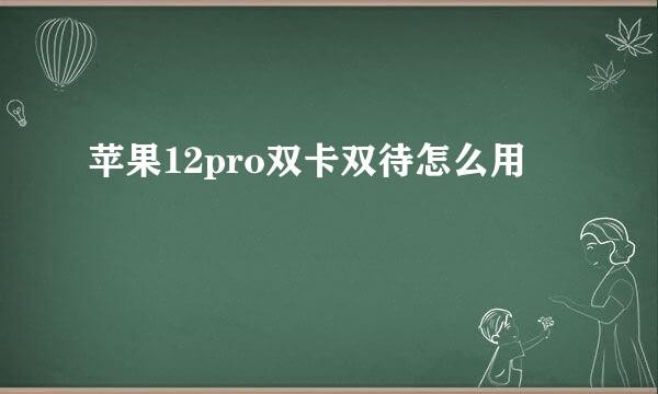 苹果12pro双卡双待怎么用