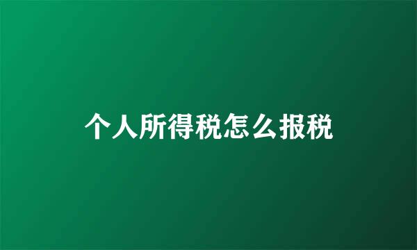 个人所得税怎么报税