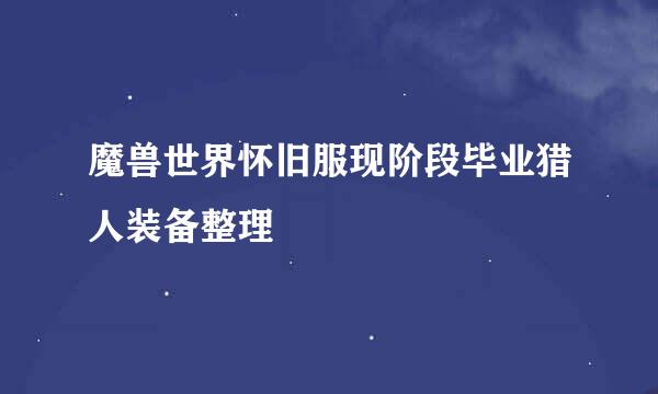 魔兽世界怀旧服现阶段毕业猎人装备整理