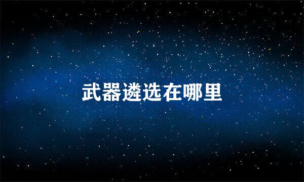 武器遴选在哪里