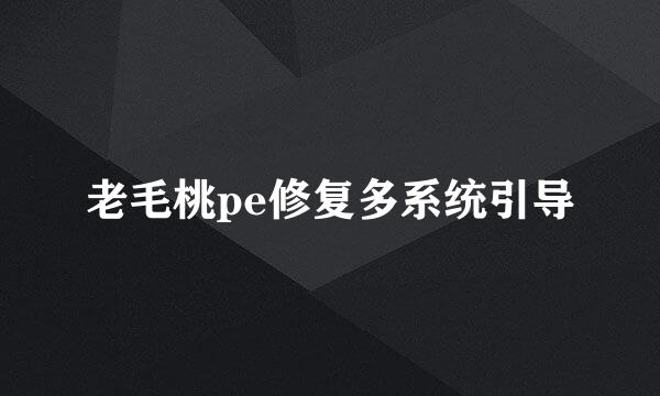 老毛桃pe修复多系统引导