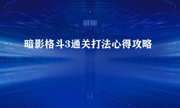 暗影格斗3通关打法心得攻略