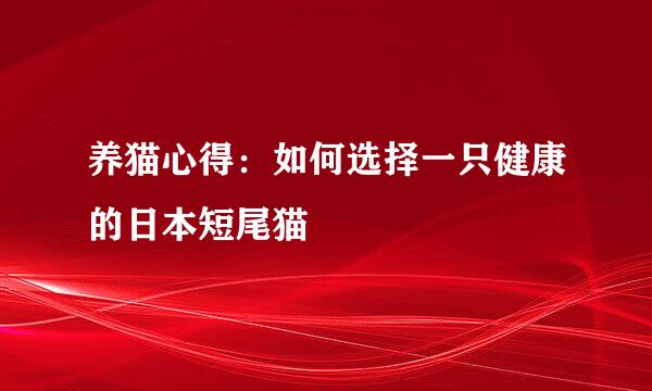养猫心得：如何选择一只健康的日本短尾猫