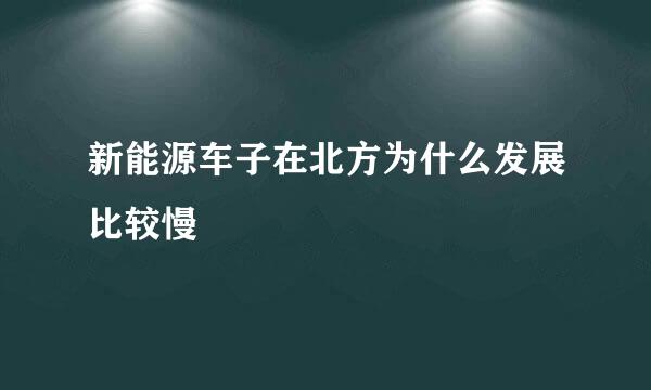 新能源车子在北方为什么发展比较慢