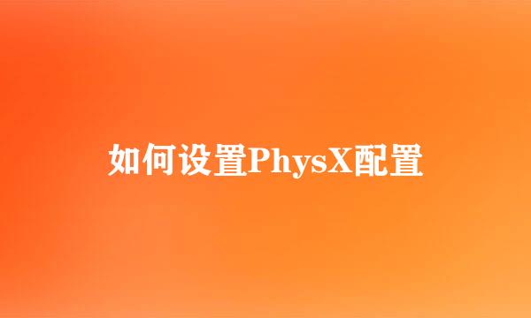 如何设置PhysX配置