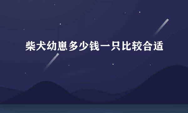 柴犬幼崽多少钱一只比较合适
