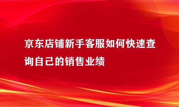 京东店铺新手客服如何快速查询自己的销售业绩