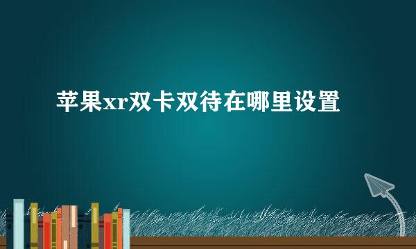 苹果xr双卡双待在哪里设置