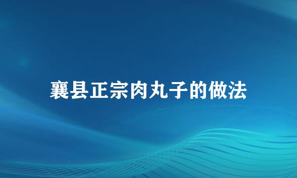 襄县正宗肉丸子的做法